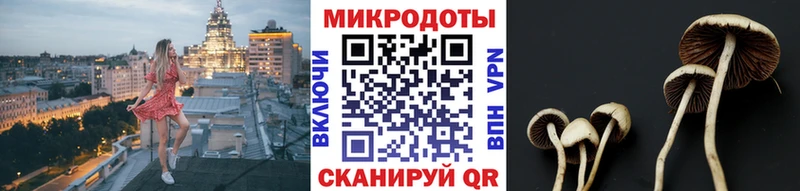 Купить закладки  Анжеро-Судженск  Галлюциногенные грибы Magic Shrooms 
